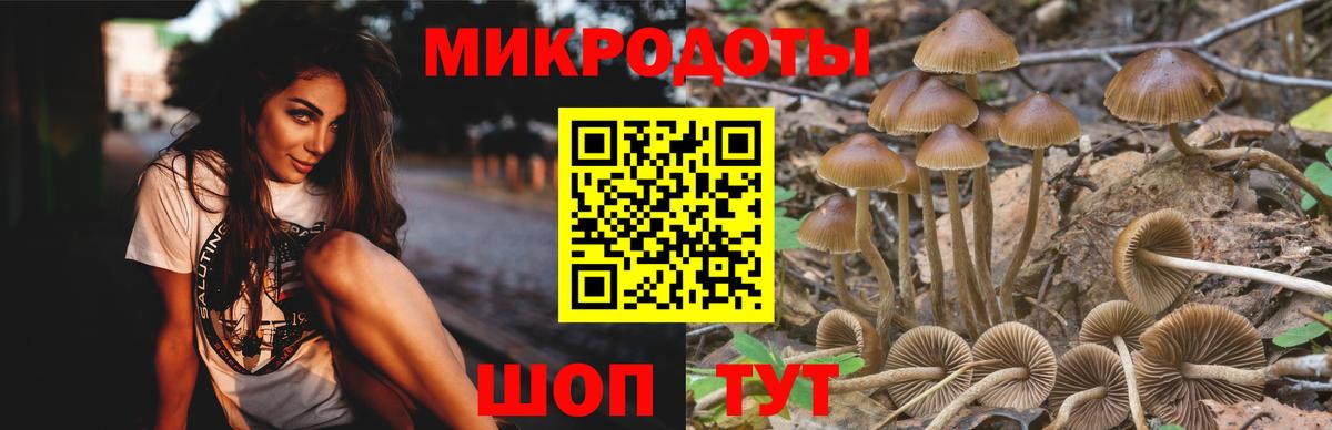 Псилоцибиновые грибы MAGIC MUSHROOMS  Вход с VPN  Севастополь 
